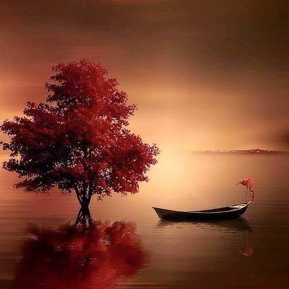 Red tree